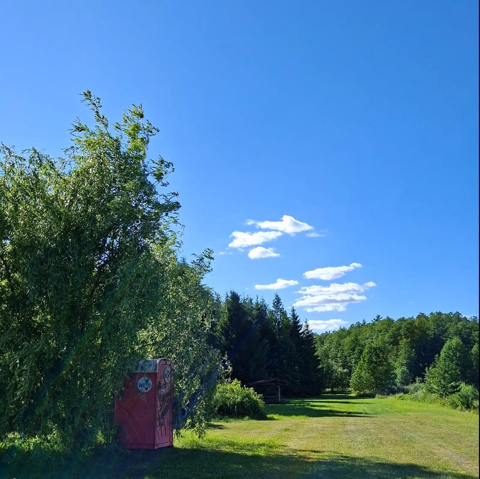 Zdjęcie przedstawia pionowy krajobraz o proporcjach boków bliskich kwadratowi, ukazujący słoneczny dzień na łonie natury. Na pierwszym planie, po lewej stronie, w cieniu rozłożystego, gęstego drzewa znajduje się czerwona przenośna toaleta typu toi-toi z widocznym logotypem „WC-S”. W tle rozciąga się otwarta, zielona łąka, która prowadzi wzrok w stronę ściany mieszanego lasu iglastego i liściastego. Nad polaną dominuje intensywnie niebieskie, niemal bezchmurne niebo z kilkoma drobnymi, białymi obłokami. Kompozycja zdjęcia dzieli przestrzeń na zacieniony fragment z zabudową sanitarną oraz rozświetloną, otwartą przestrzeń rekreacyjną.
