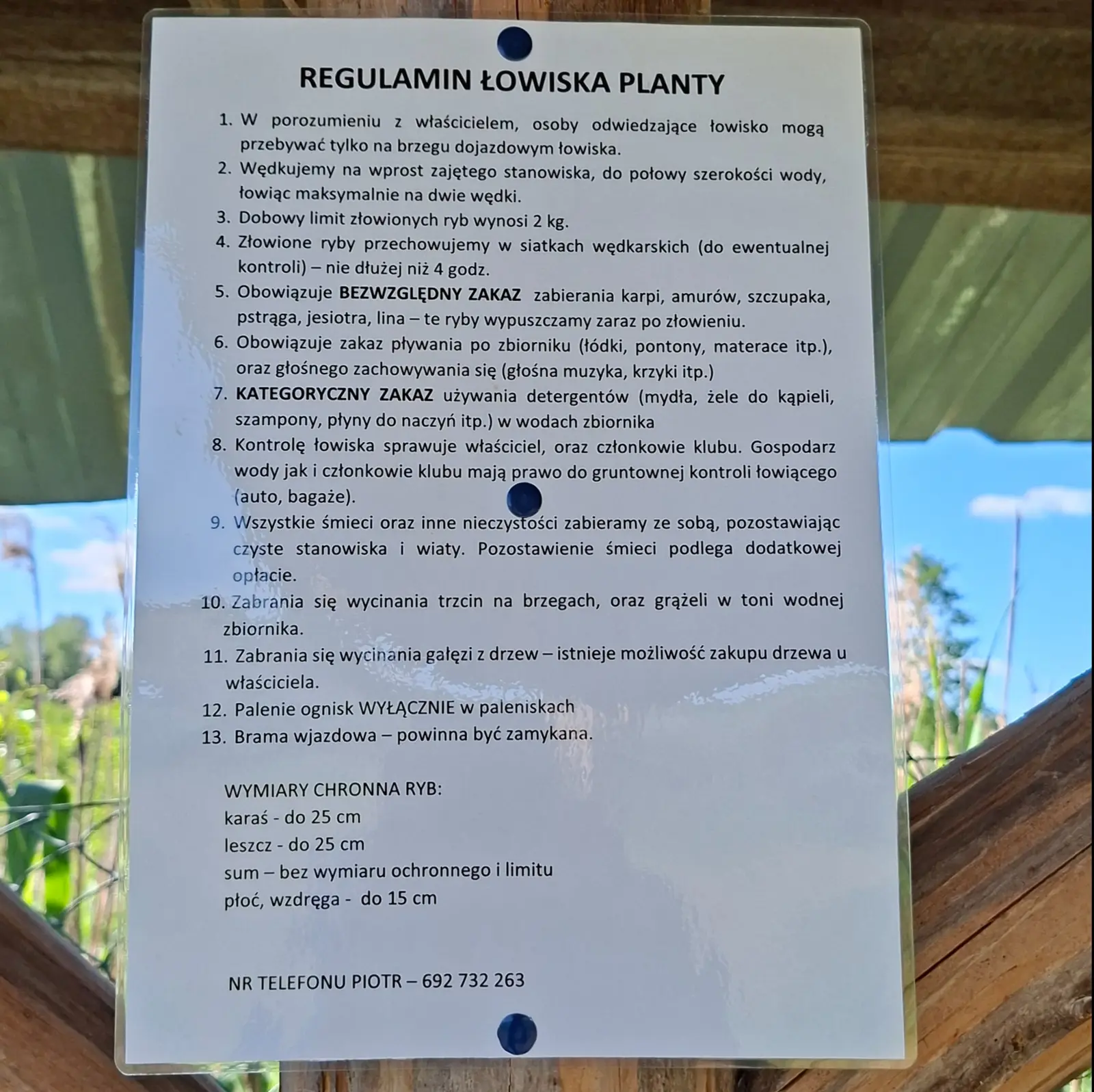 Zdjęcie w orientacji pionowej (proporcje około 3:4) przedstawia białą tablicę informacyjną przymocowaną do drewnianej konstrukcji wiaty. Tablica zawiera regulamin łowiska "Planty" zapisany czarną czcionką na jasnym tle, zabezpieczony przezroczystą folią i przymocowany niebieskimi pineskami. W tle widać zarys roślinności wodnej oraz niebieskie niebo, co sugeruje lokalizację na zewnątrz. Na tablicy znajduje się następujący tekst: REGULAMIN ŁOWISKA PLANTY 1. W porozumieniu z właścicielem, osoby odwiedzające łowisko mogą przebywać tylko na brzegu dojazdowym łowiska. 2. Wędkujemy na wprost zajętego stanowiska, do połowy szerokości wody, łowiąc maksymalnie na dwie wędki. 3. Dobowy limit złowionych ryb wynosi 2 kg. 4. Złowione ryby przechowujemy w siatkach wędkarskich (do ewentualnej kontroli) – nie dłużej niż 4 godz. 5. Obowiązuje BEZWZGLĘDNY ZAKAZ zabierania karpi, amurów, szczupaka, pstrąga, jesiotra, lina – te ryby wypuszczamy zaraz po złowieniu. 6. Obowiązuje zakaz pływania po zbiorniku (łódki, pontony, materace itp.), oraz głośnego zachowywania się (głośna muzyka, krzyki itp.) 7. KATEGORYCZNY ZAKAZ używania detergentów (mydła, żele do kąpieli, szampony, płyny do naczyń itp.) w wodach zbiornika 8. Kontrolę łowiska sprawuje właściciel, oraz członkowie klubu. Gospodarz wody jak i członkowie klubu mają prawo do gruntownej kontroli łowiącego (auto, bagaże). 9. Wszystkie śmieci oraz inne nieczystości zabieramy ze sobą, pozostawiając czyste stanowiska i wiaty. Pozostawienie śmieci podlega dodatkowej opłacie. 10. Zabrania się wycinania trzcin na brzegach, oraz grążeli w toni wodnej zbiornika. 11. Zabrania się wycinania gałęzi z drzew – istnieje możliwość zakupu drzewa u właściciela. 12. Palenie ognisk WYŁĄCZNIE w paleniskach 13. Brama wjazdowa – powinna być zamykana. WYMIARY CHRONNA RYB: karaś - do 25 cm leszcz - do 25 cm sum - bez wymiaru ochronnego i limitu płoć, wzdręga - do 15 cm NR TELEFONU PIOTR – 692 732 263